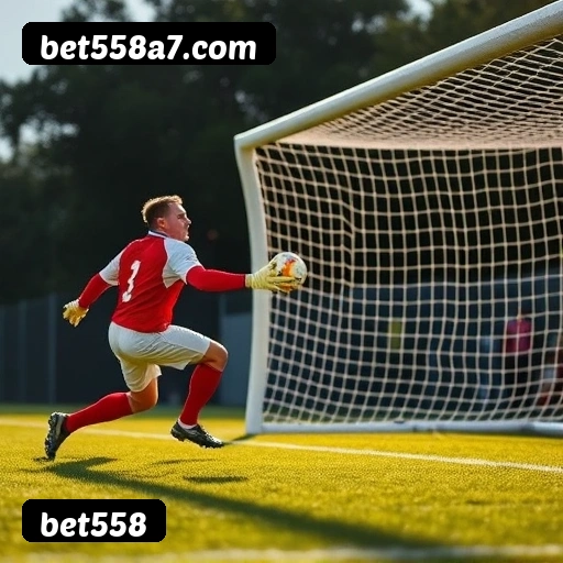 Comparação APP mobile vs versão web da bet558