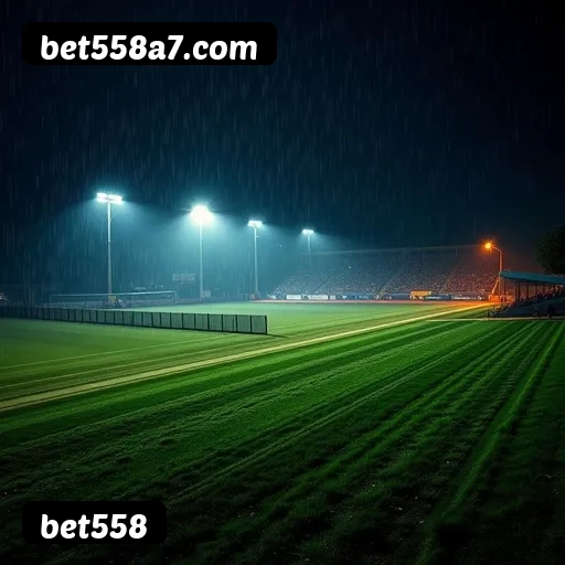 bet558 APP mobile iOS Android - 187 mil downloads São Paulo Rio BH