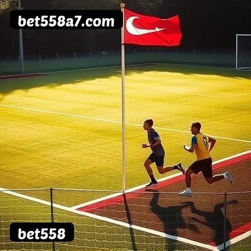 Principais provedores de slots da bet558 - NetEnt, Pragmatic Play, Play'n GO